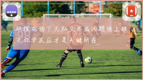 双探花场下无私交不成问题场上缺乏化学反应才是关键所在