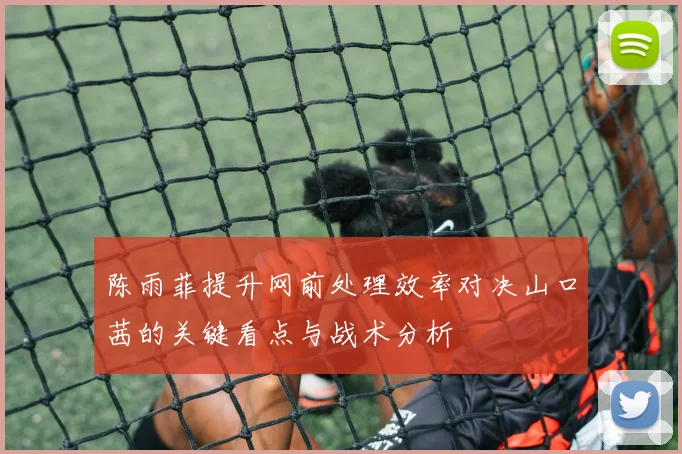 陈雨菲提升网前处理效率对决山口茜的关键看点与战术分析